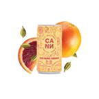 CANN Cannabis-Infused Social Tonic 2mg THC/4mg CBD (4-pack)