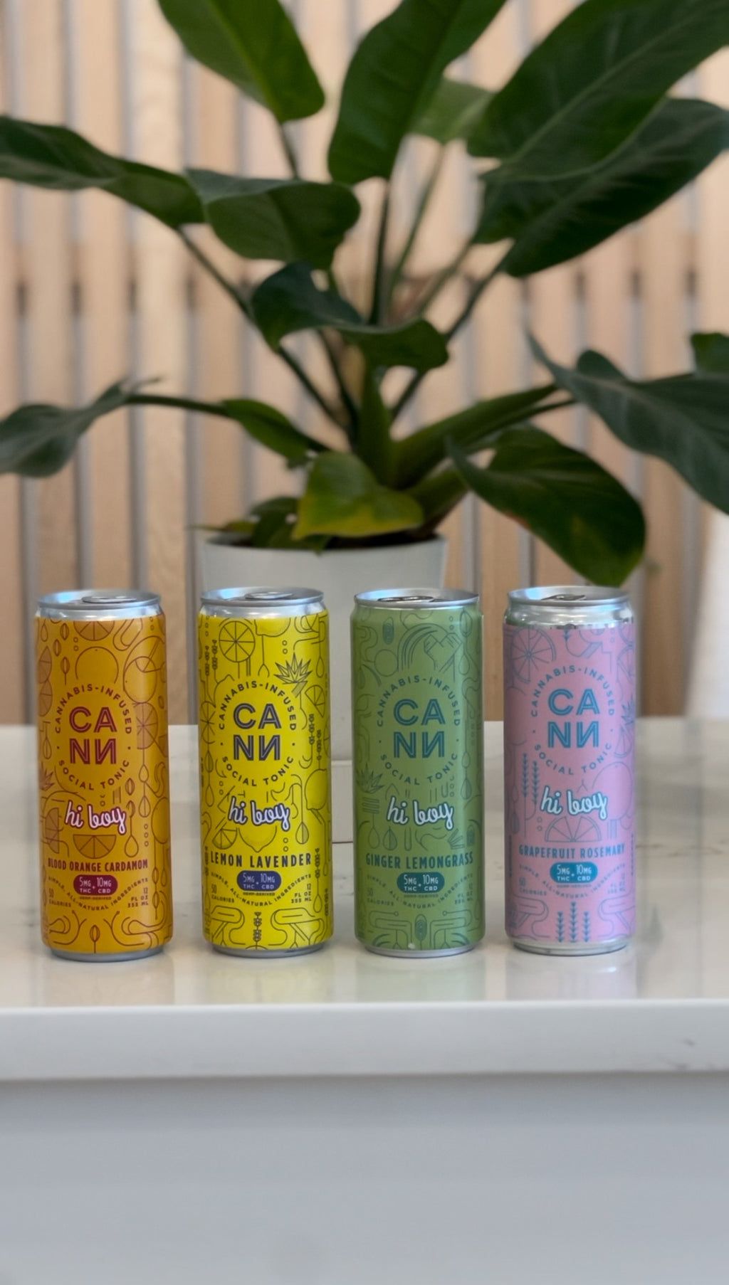 CANN Cannabis-Infused Hi Boy Variety Pack (4-pack)