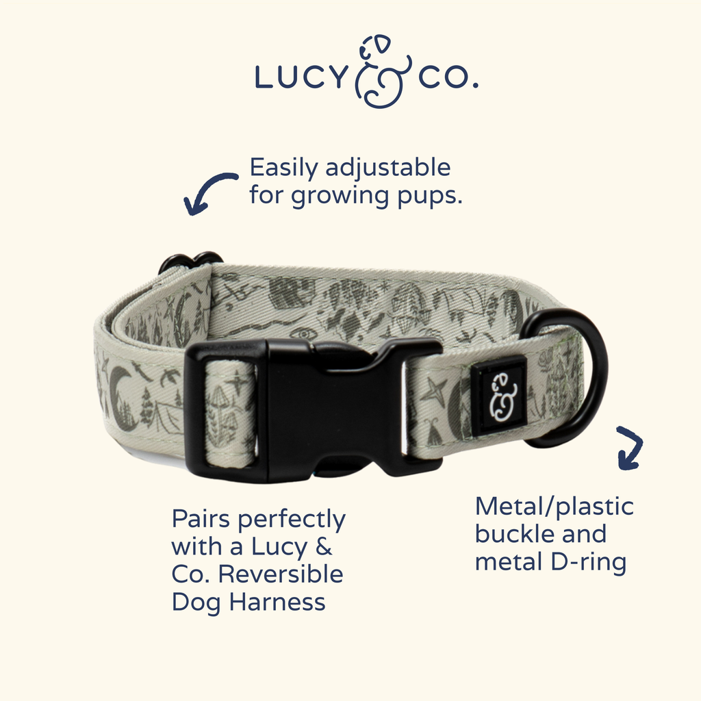 Lucy & Co. - Camp Out Collar: M